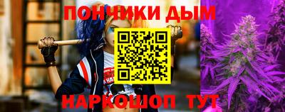 гашик Будённовск