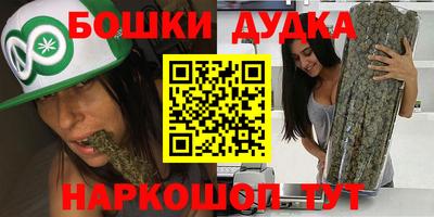 гашик Будённовск