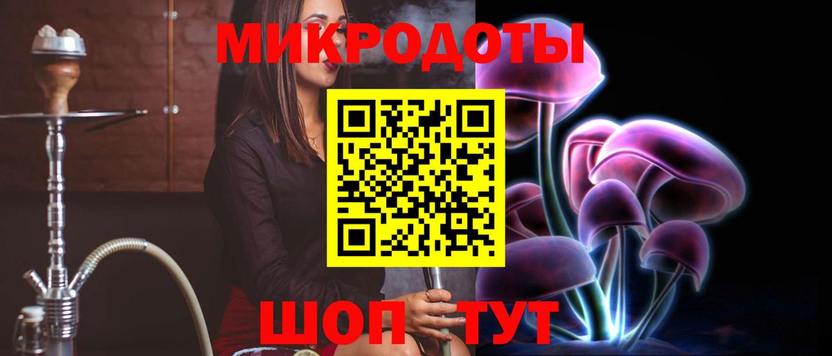 Галлюциногенные грибы Psilocybe Сочи